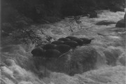 Фото 090. Река Чхалта. Оверкиль плота во 2 ступени порога 1.12 «Нижний прорыв».