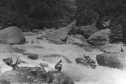 Фото 109. Река Чхалта. Панорама  прохождения  2 ступени порога 1.12 «Нижний прорыв».